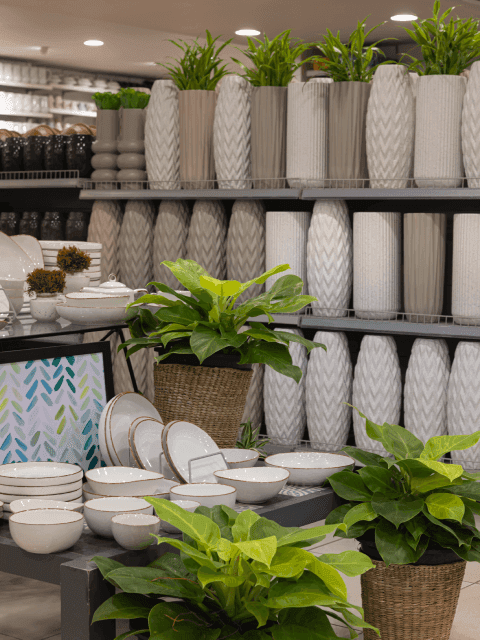Lady J tableware, planters and decorative vases